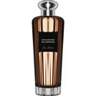 Enchanted Wilderness by Jean Poivre