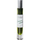 Summer Leaves (Huile Parfum) von Siela