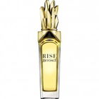 Rise von Beyoncé