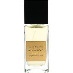 Black Rose by Claudia Scattolini / Fragrance Designer