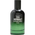 02 Cool von Zara
