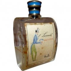 Lavendel Auslese von Dralle