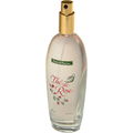 Thé de Rose von Fruits & Passion