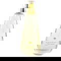 Gingembre von Yves Chantre