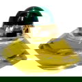 Volupté (Parfum) by Oscar de la Renta