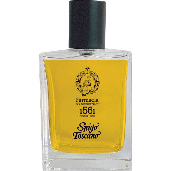 Spigo Toscano von Farmacia SS. Annunziata