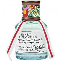 Wildflower & Fern by Library of Flowers