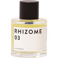 Rhizome 03 von Rhizome