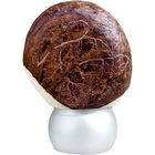 Påtch (Solid Perfume) von ånd fragrance