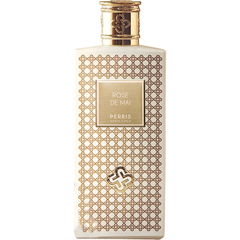 Rose de Mai von Perris Monte Carlo