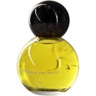 Holding the Sword von Bu Feng