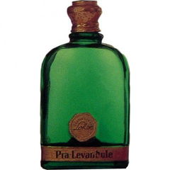 Pra-Levandule von Gustav Lohse