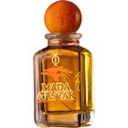 Madagascar von Insolitum Odores