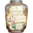 Quintessence - Cyclamen de Savoie by Gellé Frères