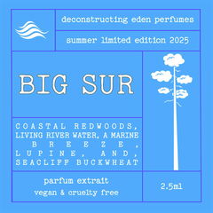 B-Side: Big Sur by Deconstructing Eden