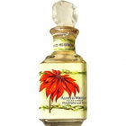 White Heliotrope by Alfred Wright