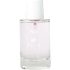 Little Orchid von Zara