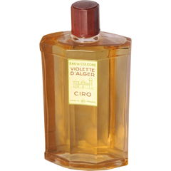 Violette d'Alger von Ciro