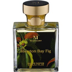 Moreton Bay Fig von Metascent