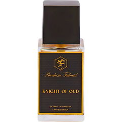 Knight of Oud von Ibrahim Fuhaid