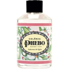 Tuberosa do Egito von Phebo