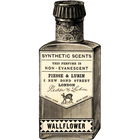 Wallflower von Piesse & Lubin