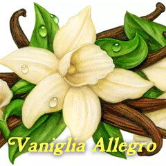 Vaniglia Allegro von Pulp Fragrance