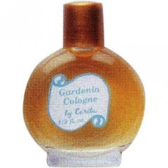 Gardenia von Caribe