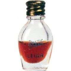 Poetic Dream by Leigh