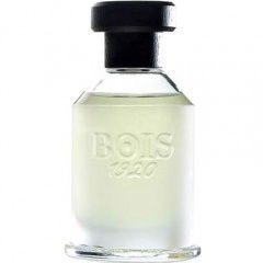 Magia von Bois 1920