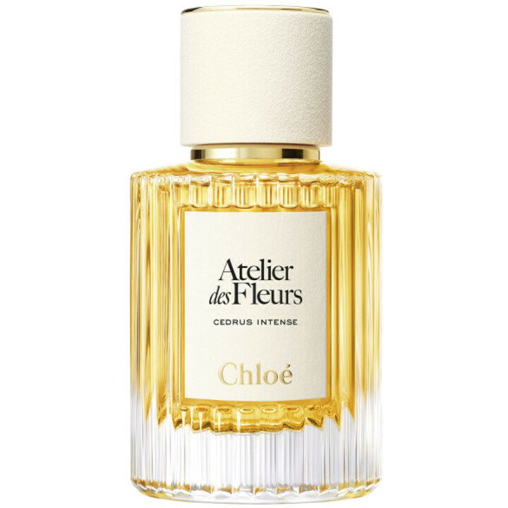 Cedrus Intense von Chloé
