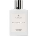 Destruction by Maria Furini