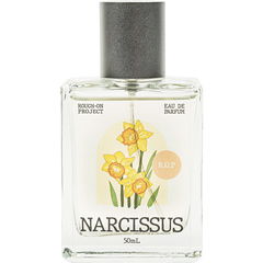 Narcissus / 수선화 by Rough-On Project