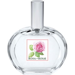 I Classici - Rosa-Rosae von Helan
