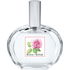 I Classici - Rosa-Rosae