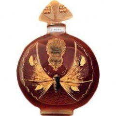 Le Mimosa von Nogara