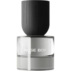Rose Boy by Our Projects