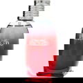 Exceed von New Brand