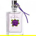 Bouquet de Violettes / Veilchenstrauß / Violet Bouquet von Perlier