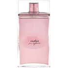 Cedar from Africa von Alviero Martini