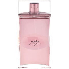 Cedar from Africa by Alviero Martini