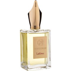 Lattimo by Dolce Fiore