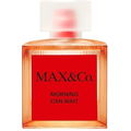Morning Can Wait by MAX&Co.