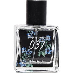 037 This is Magic by Stradivarius
