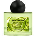 Better Fragrance - Pistachio Kiwi (Eau de Parfum) by Mémoire Archives