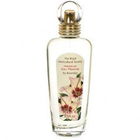 Hibiscus von Bronnley