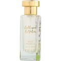 White Magnolia by Addison & Gates