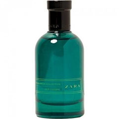 #Midsummer Deep Fougère von Zara