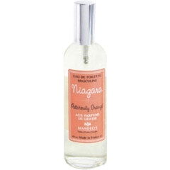 Niagara - Patchouly Vanillé von Mandelys