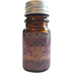 St. Carrie of the Spiritual Armament von Astrid Perfume / Blooddrop